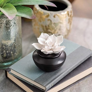 Porcelain Essential Oil Diffuser-Gardenia Flower Lid