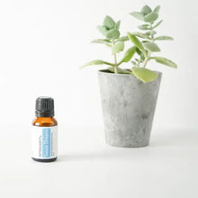 Load image into Gallery viewer, Sweet Dreams Essential Oil 15ml
