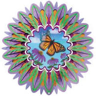 Butterfly Animated 12" Stainless Steel Spinner