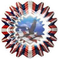 Patriotic Animated 3D 12" Spinner